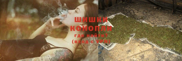 шишки Заволжье