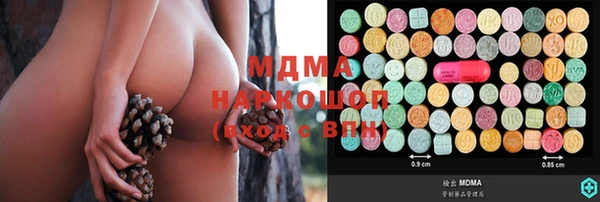 шишки Заволжье