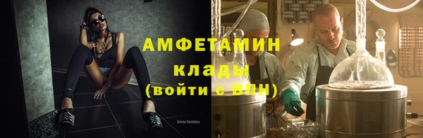 шишки Заволжье