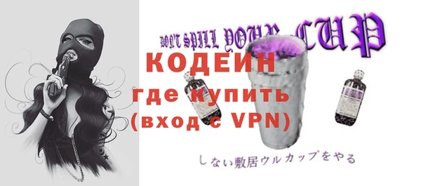 не бодяженный Заводоуковск