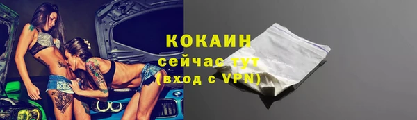 не бодяженный Заводоуковск