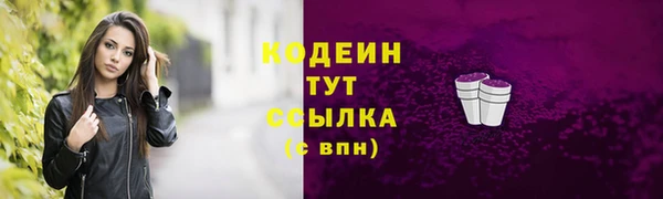 не бодяженный Заводоуковск