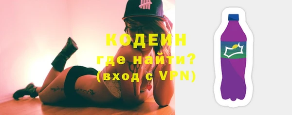 не бодяженный Заводоуковск