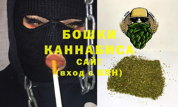 шишки Заволжье