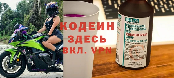 шишки Заволжье