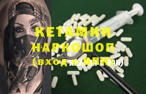спиды Ельня