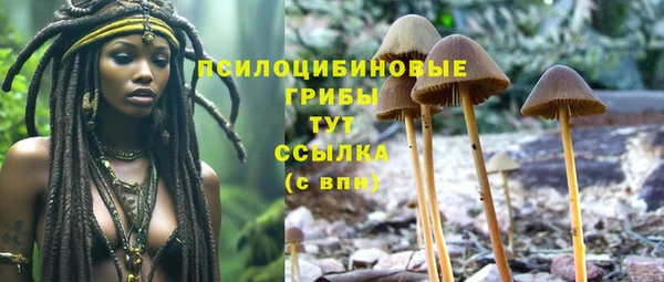 винт Зеленокумск