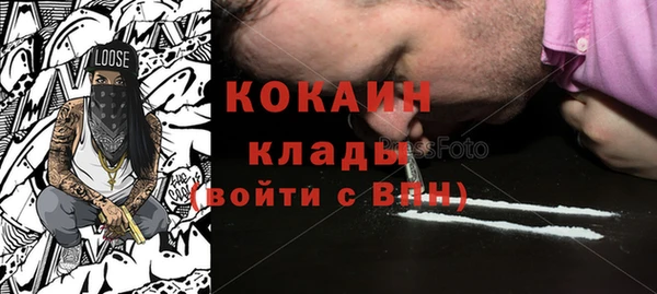 шишки Заволжье