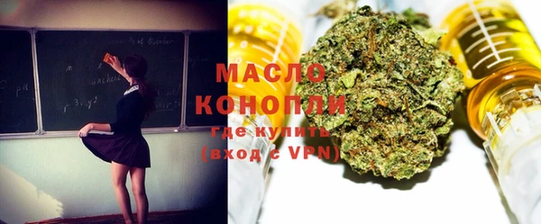 шишки Заволжье