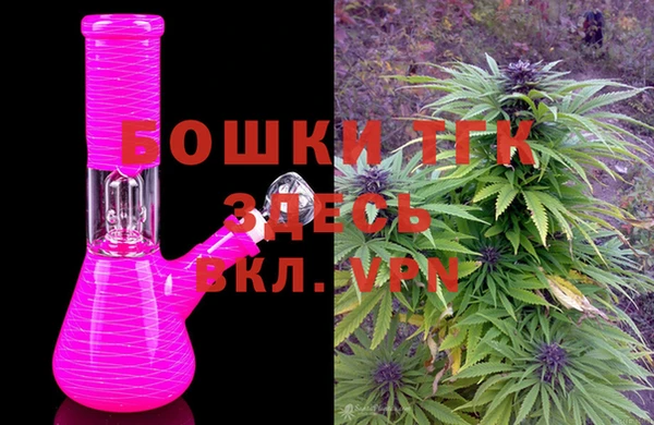 шишки Заволжье